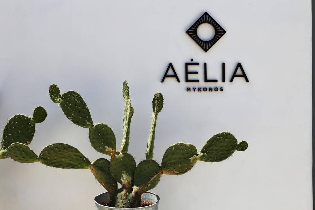 Aelia Mykonos 호텔 오르노스 외부 사진